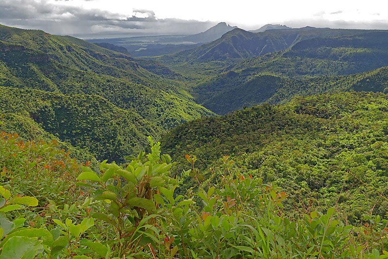 cid:image021.jpg@01D40988.C5EA5CE0