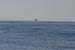 IMG_4506x_RAW